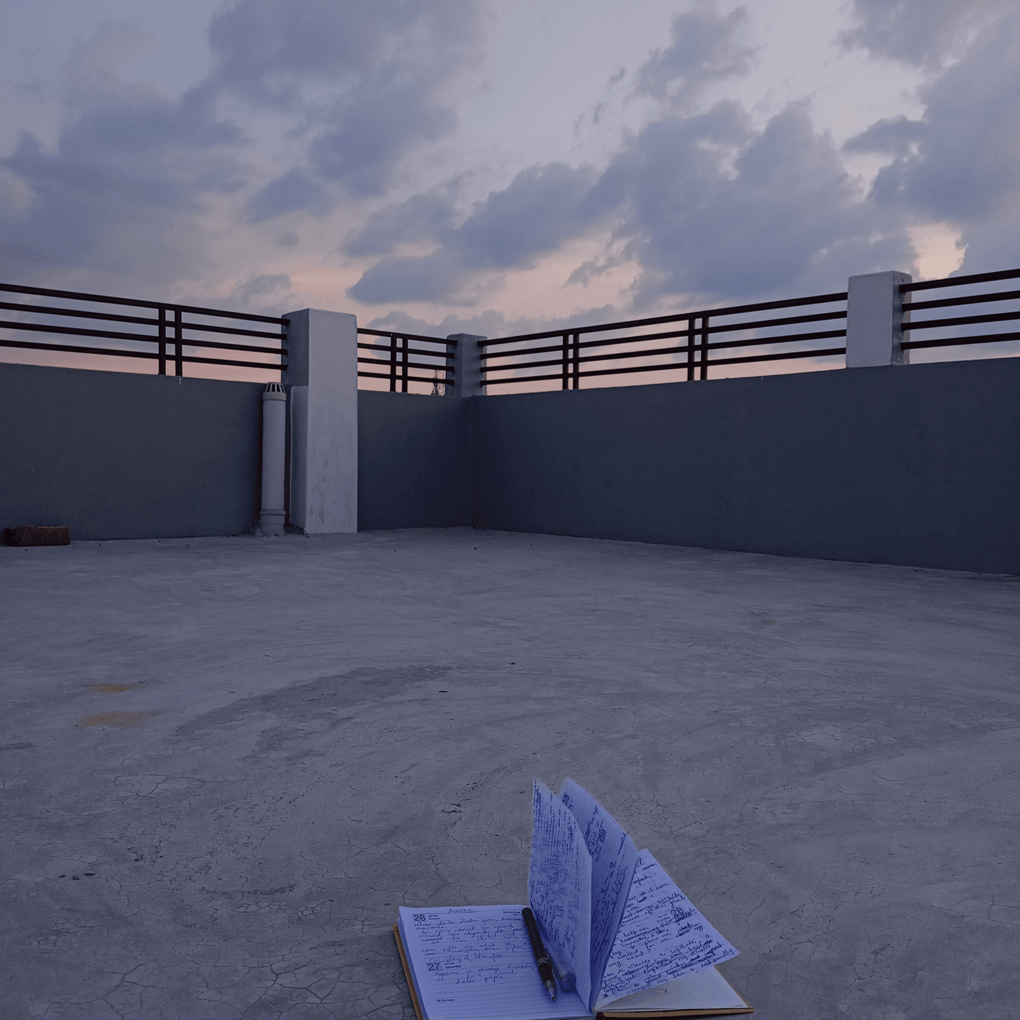 A Catalogue of Things I Tried to Hold
