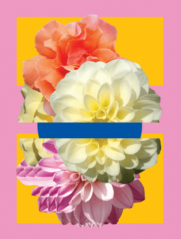 Snap & Style: Graphic Collages Inspired By West Ireland