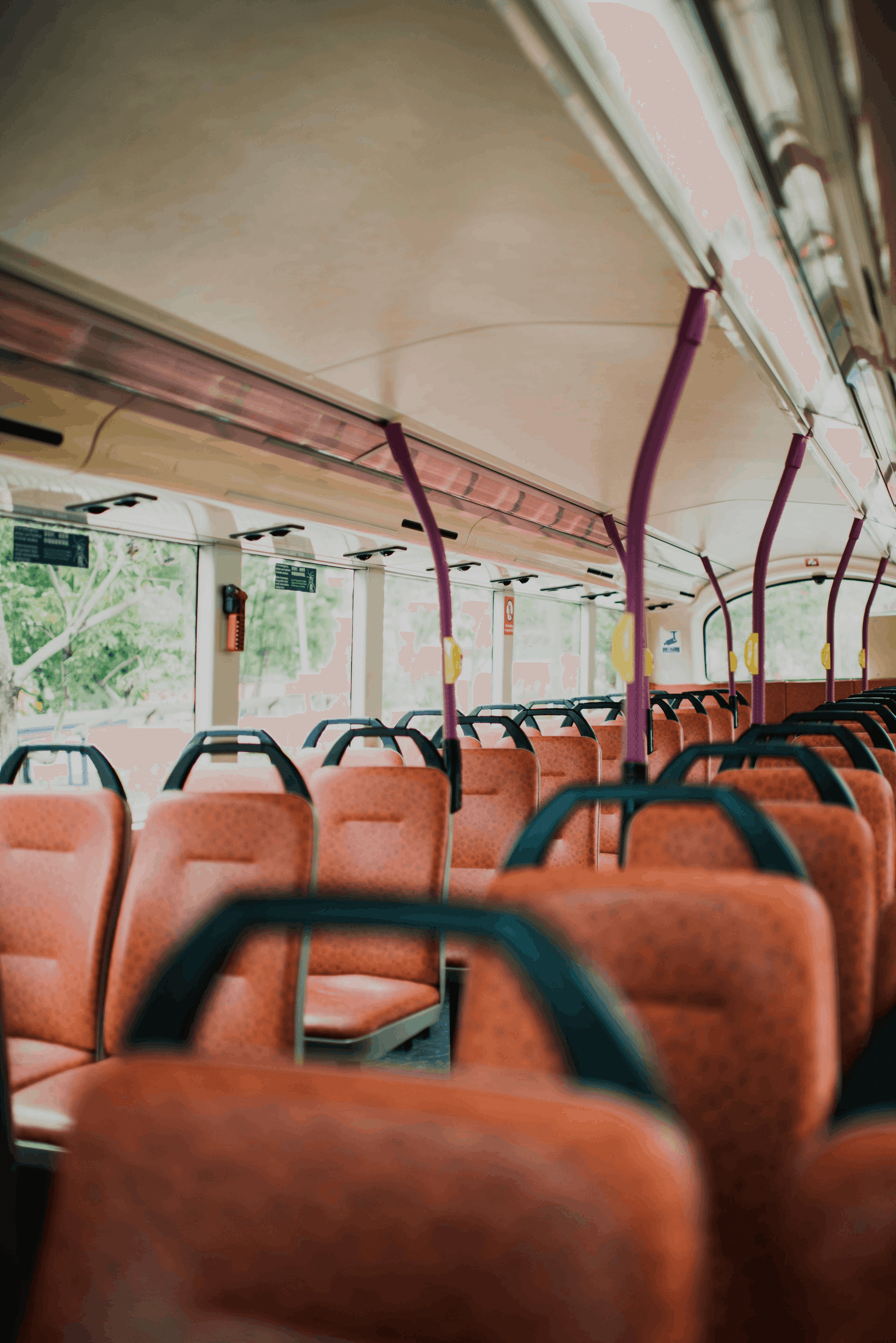 Of Rosa Parks, Cats and the Azaan