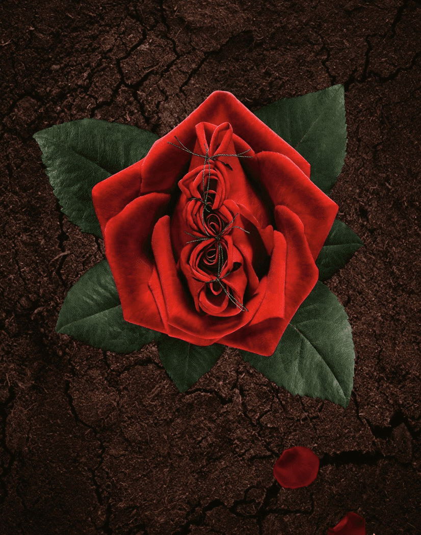 Female Genital Mutilation needs to stop now, here's how