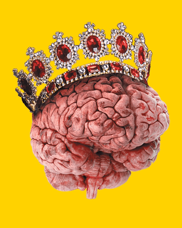 Rating Indian Brain Rot Songs