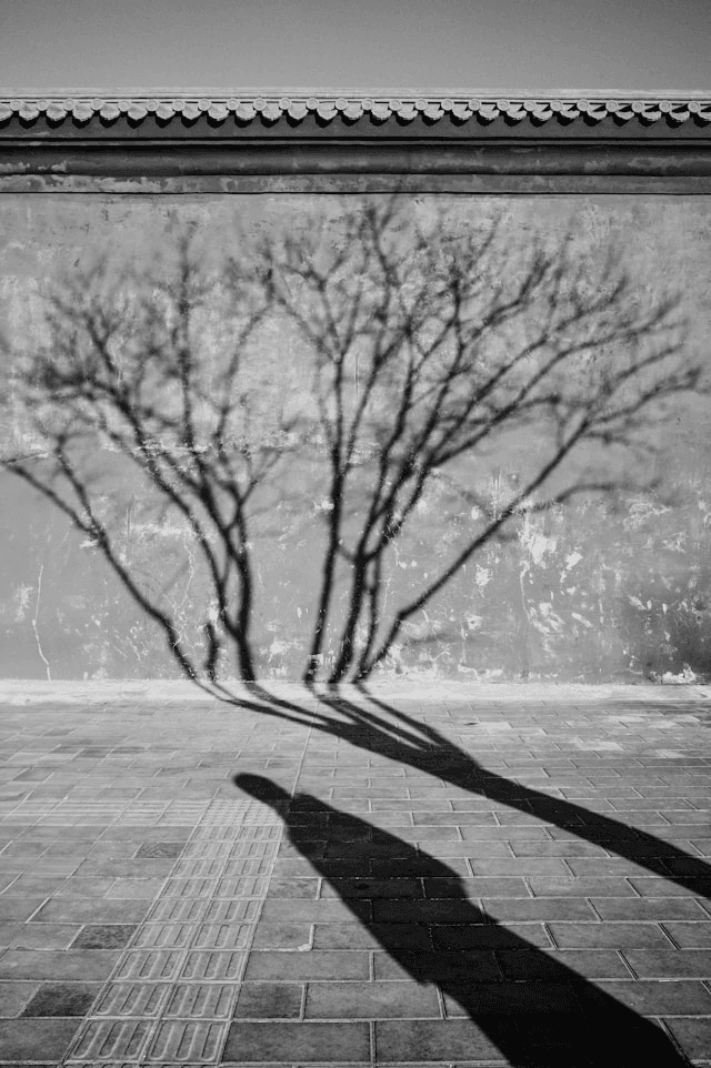 Loving God was the beginning of cannibalism & Other Poems