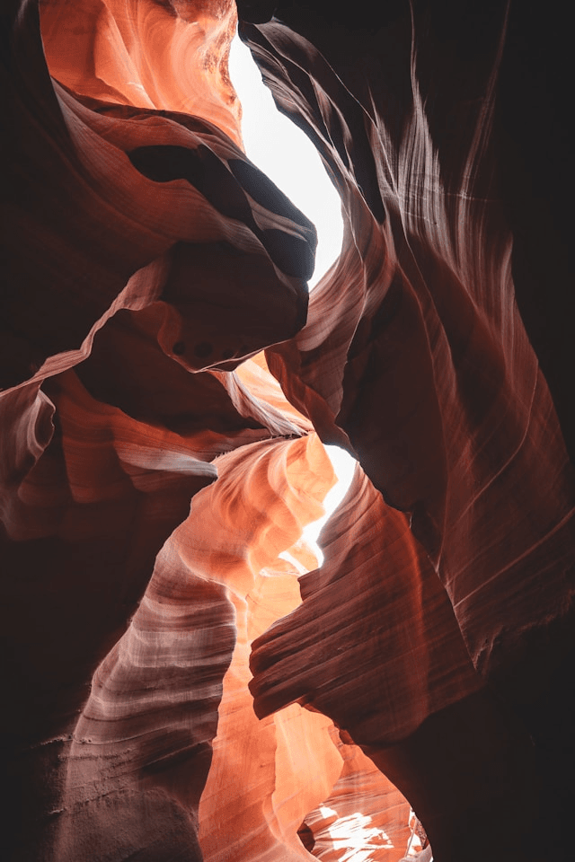 Dreamscaping the Damu Kin