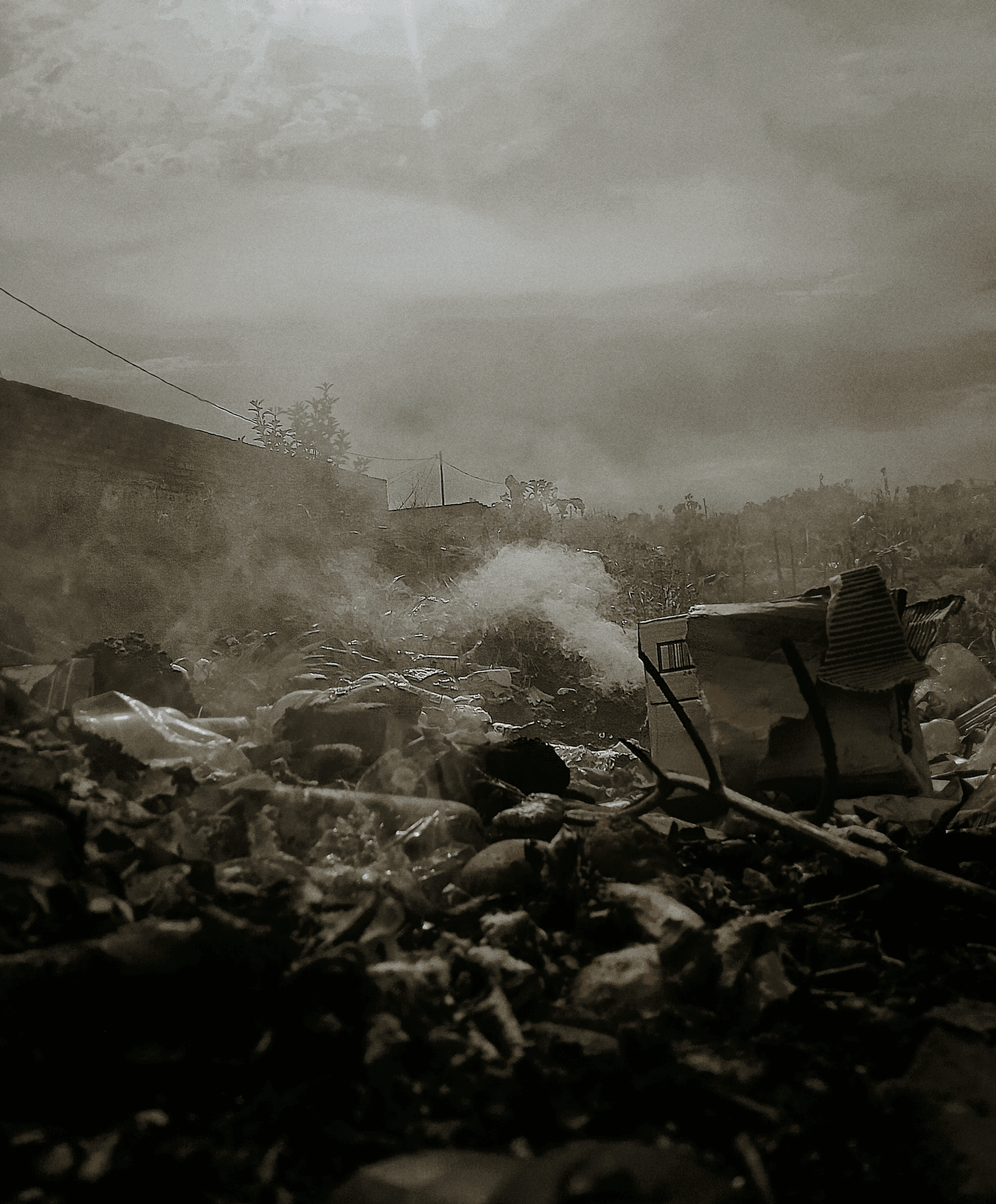 The Landfills & Other Poems
