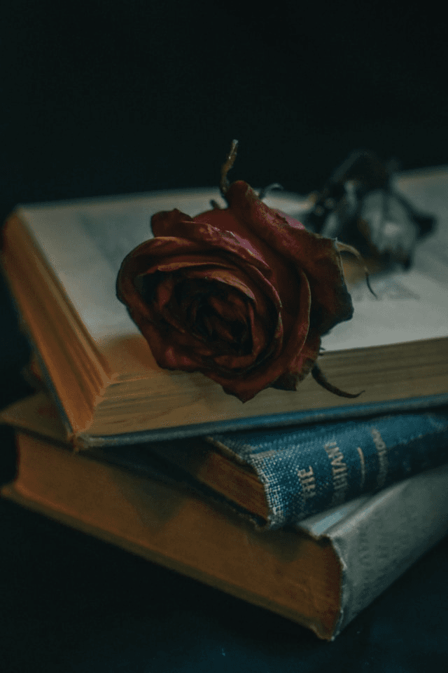 तोह बताइए, प्यार क्या है, वो कहाँ है?