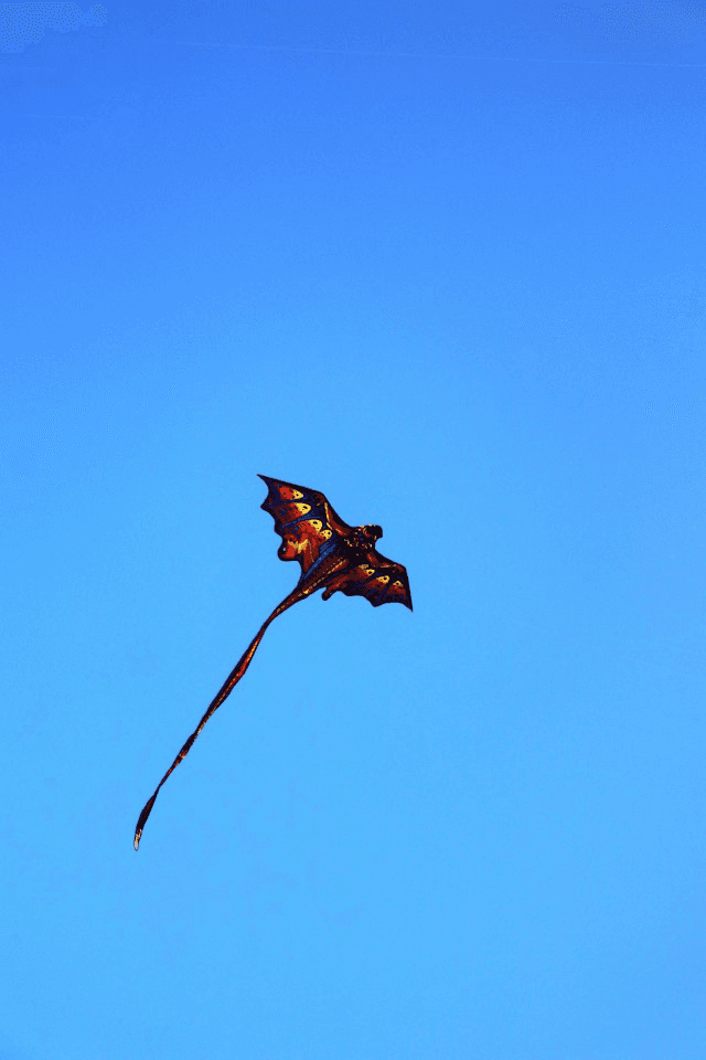 Makar Sankranti is Killing Our Feathered Friends, Here's What We Can Do