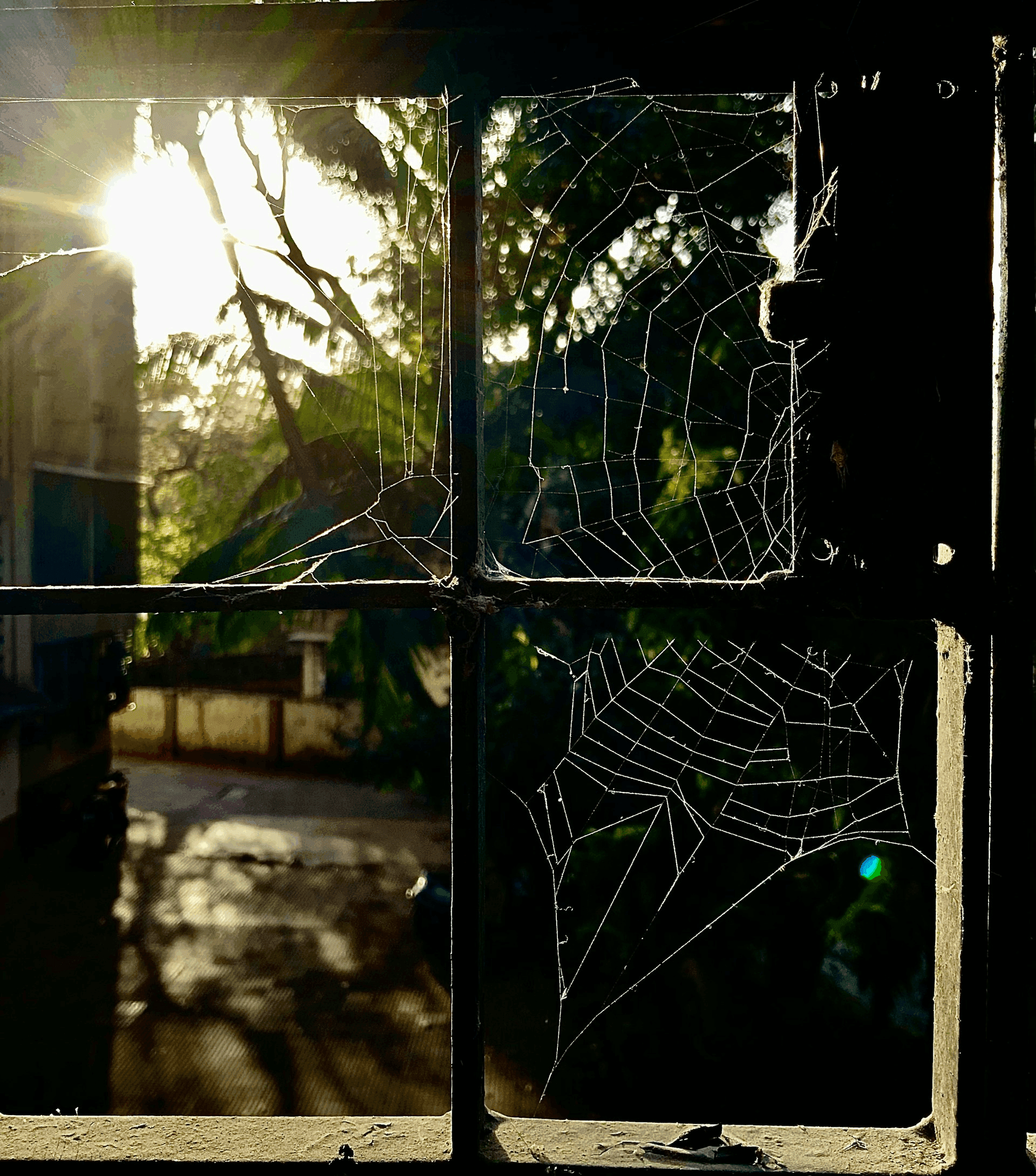 Broken Mirrors & Scarred Hearts