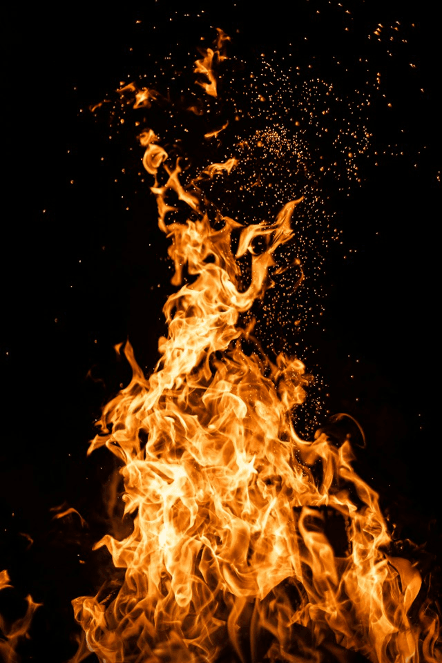 I Rise in Flames