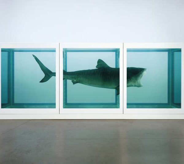 The Physical Impossibility of Death in the Mind of Someone Living by Damien Hirst