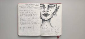 Diary Entries of a Writer