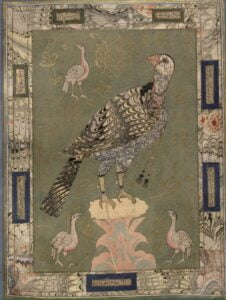 Shah Jahan was a Birdcatcher